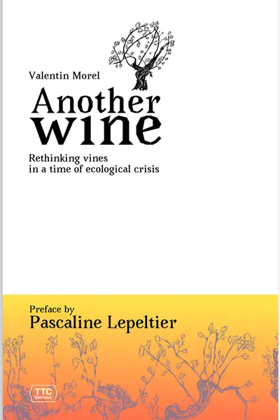 Another Wine — Valentin Morel