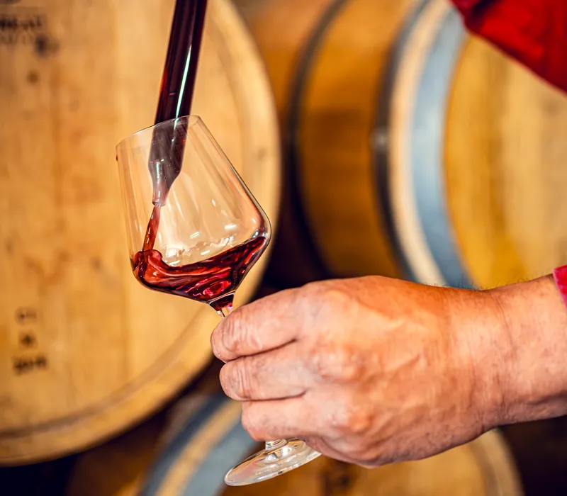 Bouteilles du Domaine d'Aubigny — Mercurey Premier Cru, Rully et Bourgogne