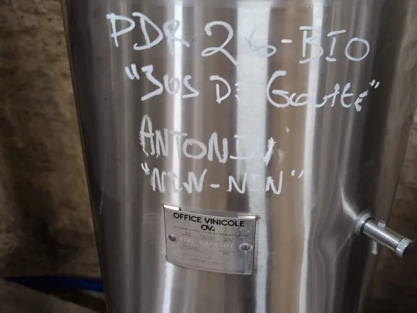 Cuve d'expérimentation d'Antonin — fermentation en cours au Domaine d'Aubigny