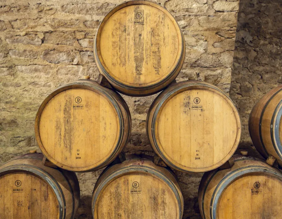 Visite privée et dégustation à la cuverie du Domaine d'Aubigny — fûts et tonneaux, Côte Chalonnaise