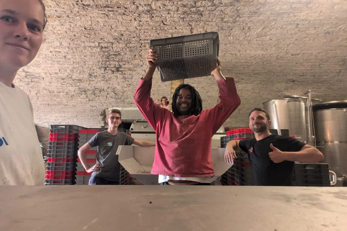 Équipe de cuverie du Domaine d'Aubigny — Elisa, Antonin, Santi, Kwame et Nico pendant les vendanges 2026