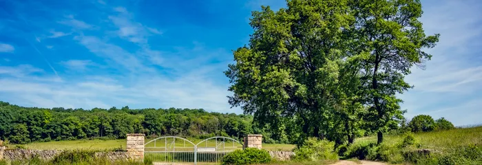 Ferme et nature au Domaine d'Aubigny, viticulture biologique en Côte Chalonnaise