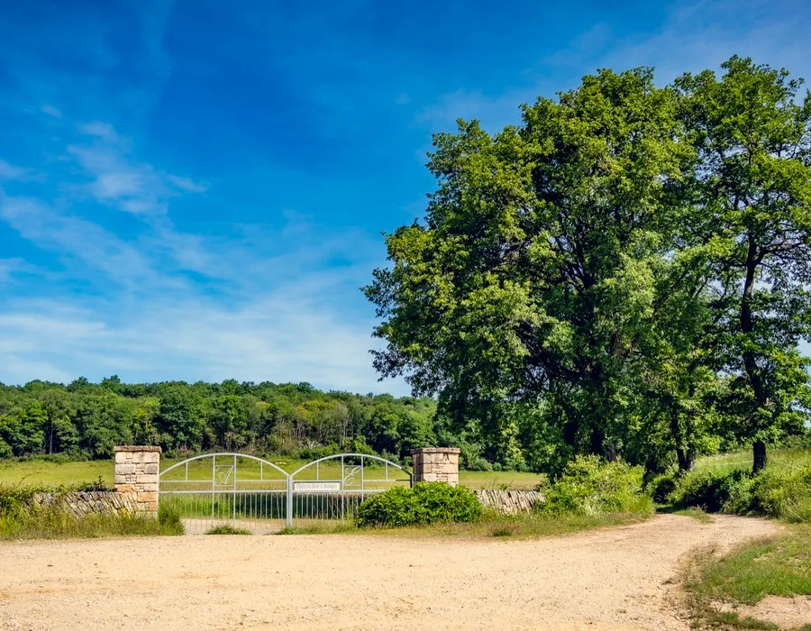 Ferme et nature au Domaine d'Aubigny, viticulture biologique en Côte Chalonnaise
