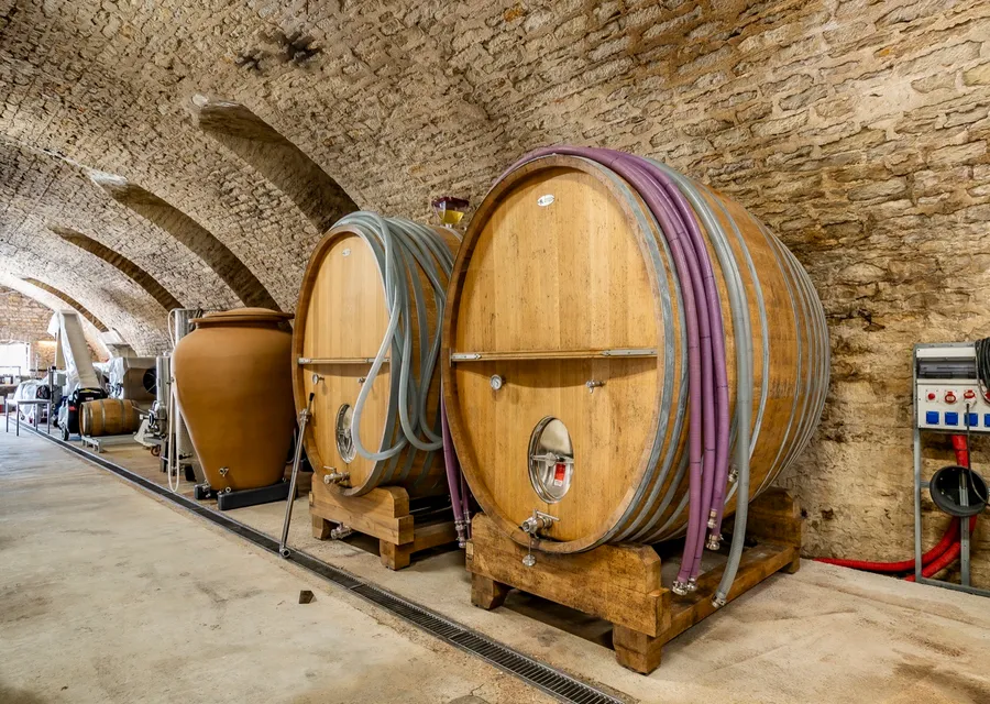 Foudres d'élevage au Domaine d'Aubigny — cave cistercienne du XIIe siècle, Côte Chalonnaise