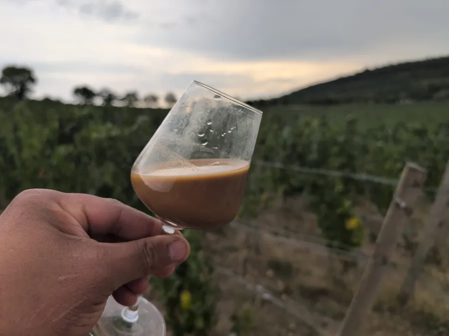 Verre de moût du Rully Fromange aux bourbes claires, analyse en cave
