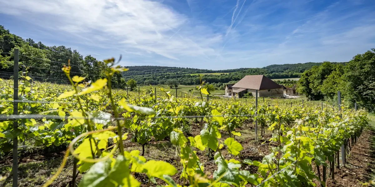 Chambre d'hôtes à Beaune, Bourgogne - Domaine d'Aubigny