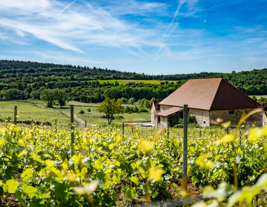 Vue de la cuverie du Domaine d'Aubigny, Aluze, Côte Chalonnaise